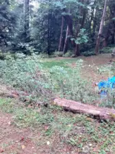 Some studies available from Seller