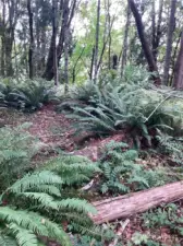 Use Caution when walking the property