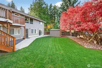 Fully fenced backyard, w/ gorgeous Japanese Maple Tree. Separate entrance to lower unit. 2 storage sheds