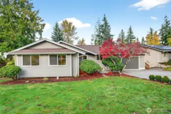 South facing house with plenty of sunlight.
