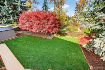 Flat, fully fenced backyard with surrounding trees for added privacy.