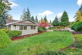 Well cared for front yard.