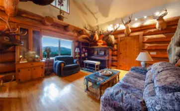 Main level living area