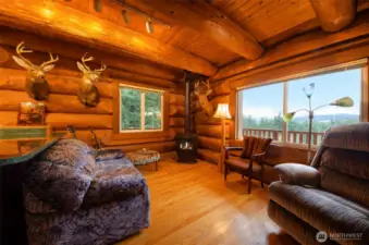 Main level living area