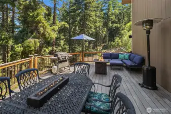 Gorgeous Brazilian wood entertaining deck where you will spend ample hours BBQing, taking in all the fresh air and just relaxing in the sunshine. Get away from the big city, spend your weekends in Sky Meadows country!