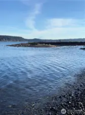 Mt Rainier and so many different species of birds to watch.