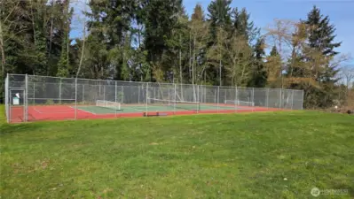 PIckle Ball Sports Court