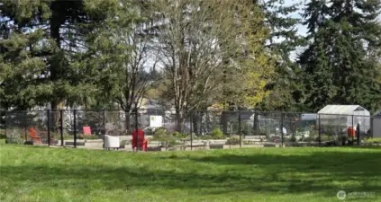 Community Garden
