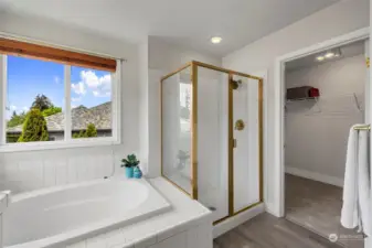Large soaking tub, shower and walk-in closet