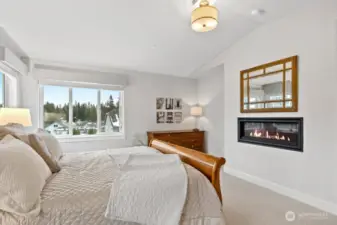 Cozy Fireplace and Blinds on Remote Control