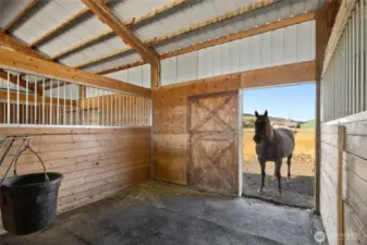 One stall - a Horsey home!
