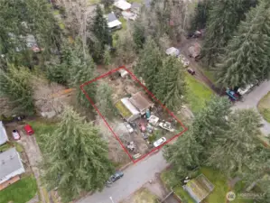 Ariel view of the lot. Cedar trees at the side of the yard.