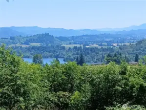 Clear some timber and see more lake.