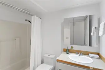 Full guest bathroom