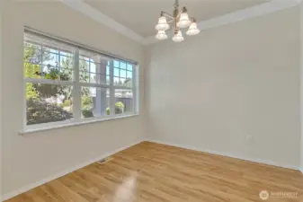 Lots of light! Laminate floors.