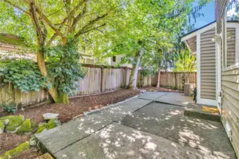 Very private back patio ~