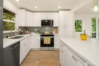 Tons of Cabinet space, built in pantry and HUGE Island make this a DREAM kitchen