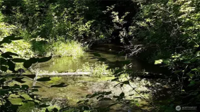 Indian Creek looking downstream (easterly) from the log bridge. A fantasy picnic spot!