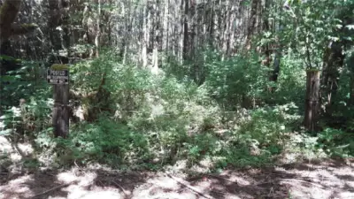 Don't worry about the "No Trespassing" sign if you are viewing the property as a prospective buyer!