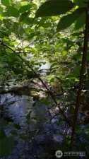 Indian Creek, viewed upstream from the log bridge.