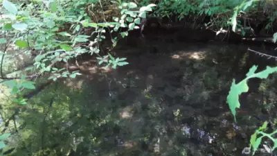 Slackwater.  Indian Creek flows out of Lake Sutherland and may sometimes carry fish.