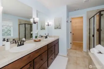 Gorgeous primary bath