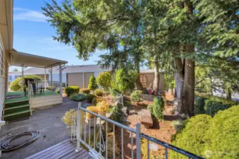 POutdoor Patio And Garden