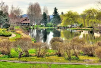 Wandering Creek Common Area: Reflection Lake with a paved trail around the lake and a gazebo.