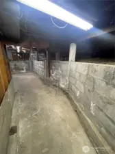 Unfinished basement