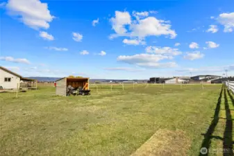Potential pasture area with loafing shed.