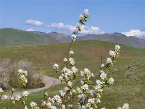 Hillside North of Upper Beaver Creek road has rural mountain views.