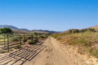 Dirt farm road leads to alfalfa fields.