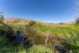 Beaver Creekfront on 101 Acres.