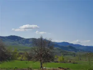 Irrigated pasture and Scenic South East views are the right combination! Historic Upper Beaver Creek Landscape.  AG use & stock for Open Space agriculture.