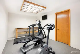 Great gym/bonus space in basement.