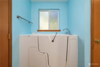 walk in tub - shower on other side