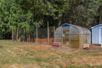 Green house and 10X20 ngarden shed with doors on each side