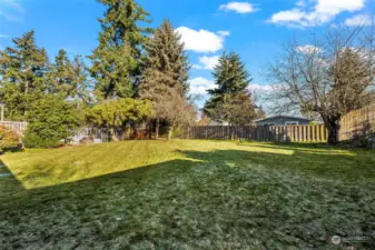 Large mostly level backyard. Fully fenced!