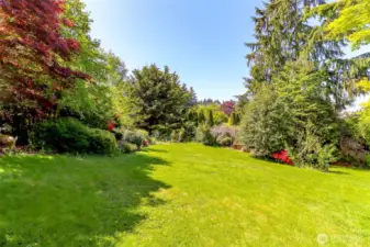 Front yard