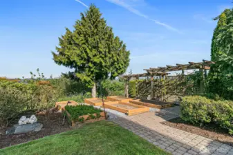 South East facing back yard
