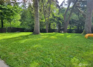 Spacious Backyard