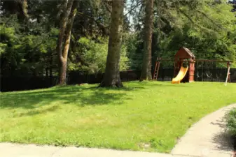 Spacious Front Yard