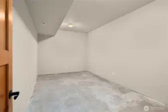 Unfinished room that leaves your imagination to run wild. Make this room into a wine room or a small theater room. Check out the next few  virtually stage photos for this room.
