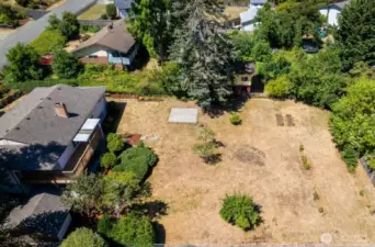 Alternate view of the back yard