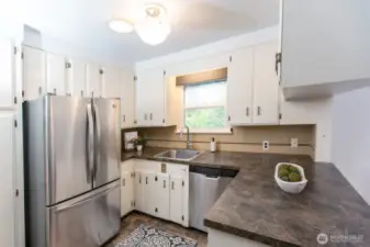 Kitchen lives larger than its footprint with ample countertop workspace, pass through to dining room and views of beautiful back yard. Solatube keeps it light and bright. All appliances are included.