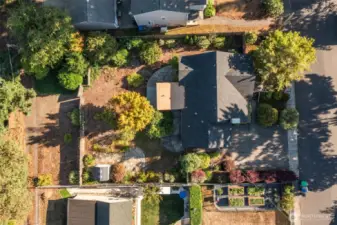 Aerial view of this adorable westside home on large lot & tucked in among multiple patios and an incredible landscape!