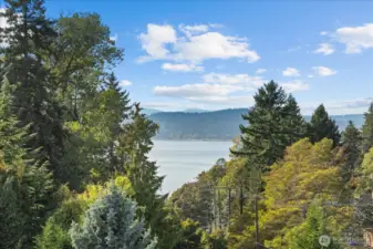 The Puget Sound!