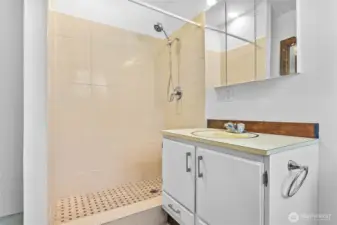 Downstairs primary bath