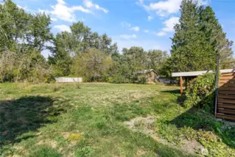 .66 acres partially fenced with fruit trees