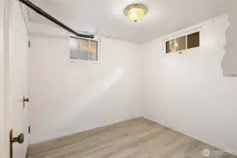 Lower level bedroom